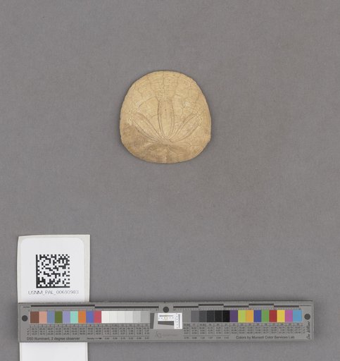 NSF ADBC EPICC TCN