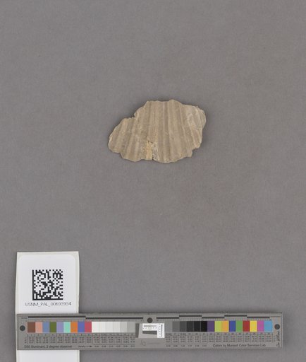NSF ADBC EPICC TCN
