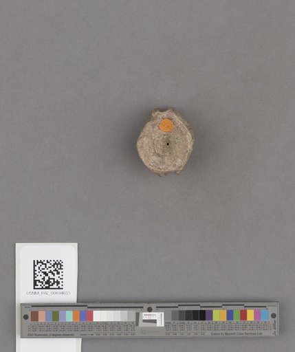 NSF ADBC EPICC TCN