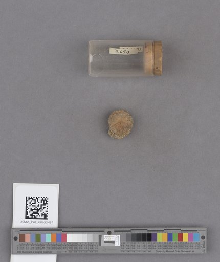 NSF ADBC EPICC TCN