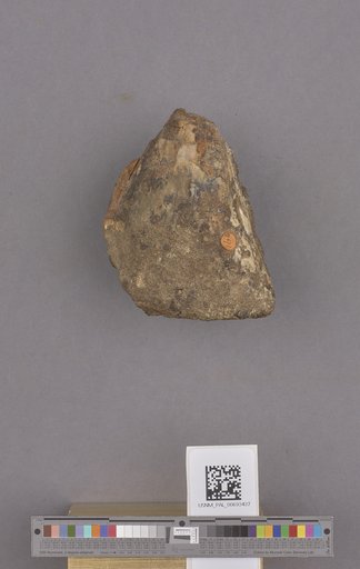 NSF ADBC EPICC TCN