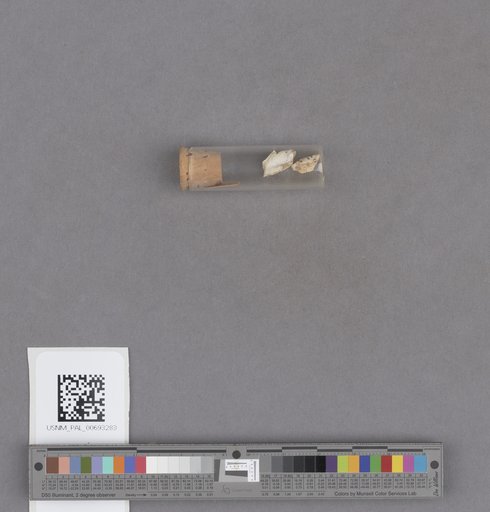NSF ADBC EPICC TCN
