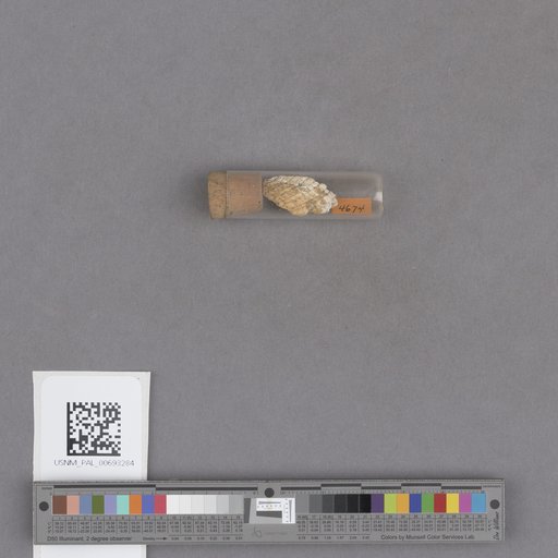 NSF ADBC EPICC TCN