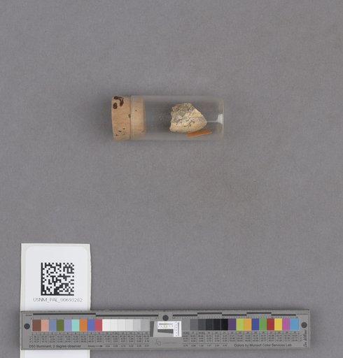 NSF ADBC EPICC TCN