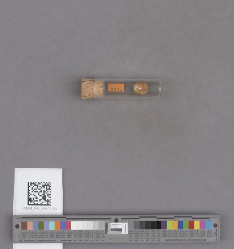 NSF ADBC EPICC TCN
