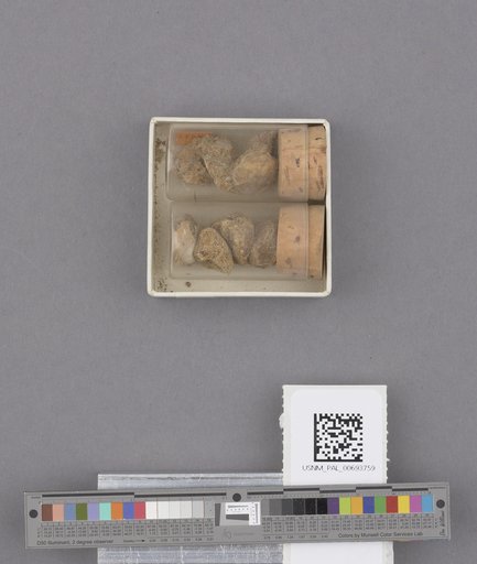 NSF ADBC EPICC TCN
