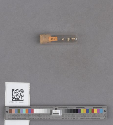 NSF ADBC EPICC TCN