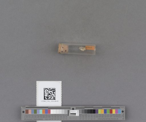 NSF ADBC EPICC TCN