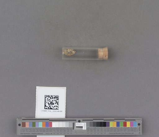 NSF ADBC EPICC TCN