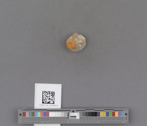 NSF ADBC EPICC TCN