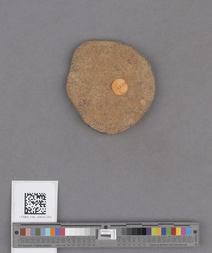 NSF ADBC EPICC TCN