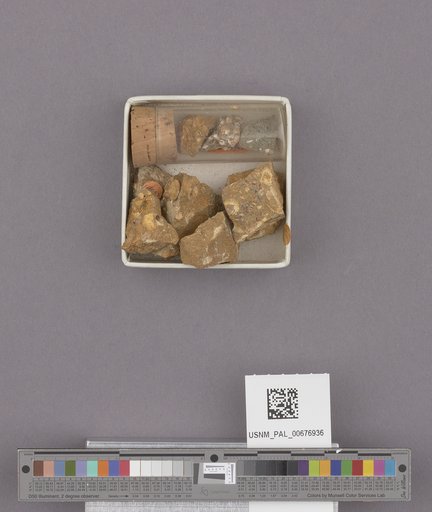 NSF ADBC EPICC TCN