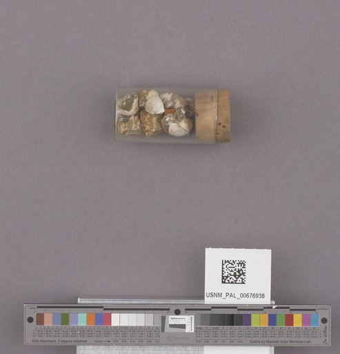 NSF ADBC EPICC TCN