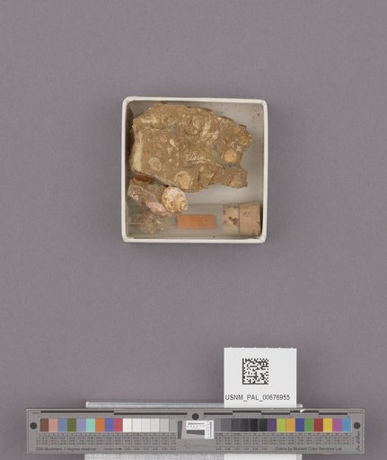 NSF ADBC EPICC TCN