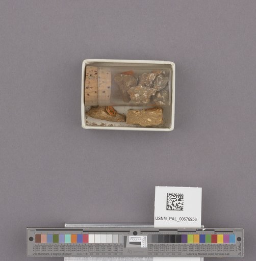NSF ADBC EPICC TCN
