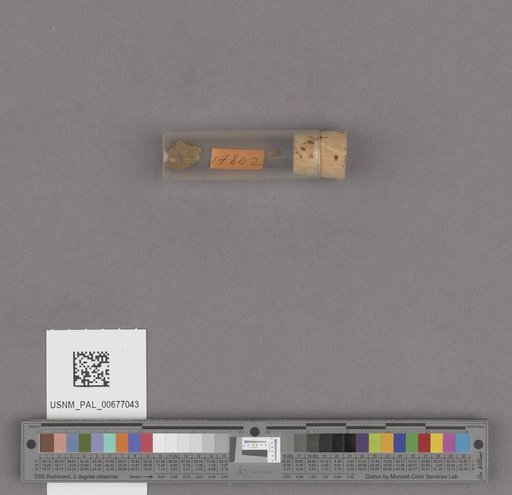 NSF ADBC EPICC TCN
