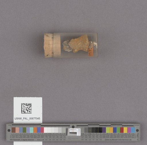 NSF ADBC EPICC TCN
