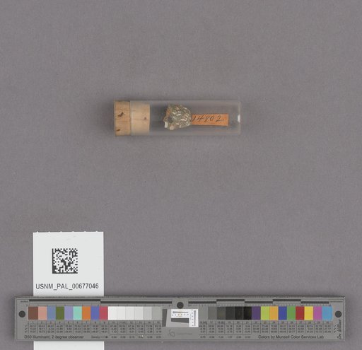 NSF ADBC EPICC TCN