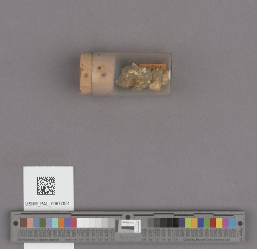 NSF ADBC EPICC TCN