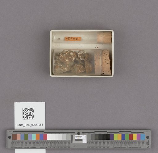 NSF ADBC EPICC TCN