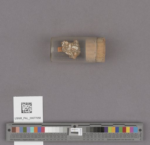 NSF ADBC EPICC TCN