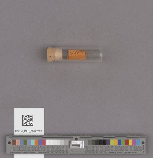 NSF ADBC EPICC TCN
