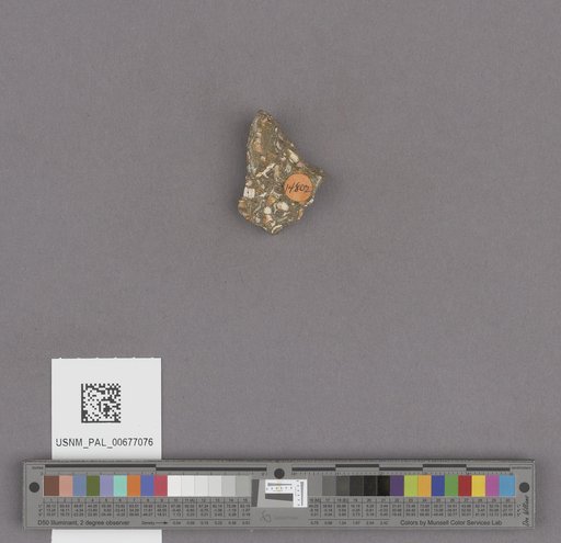 NSF ADBC EPICC TCN