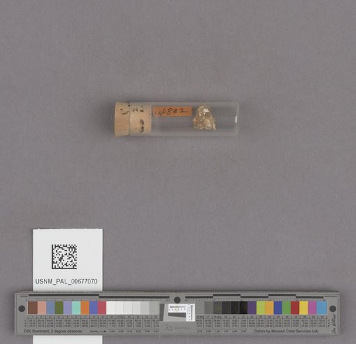NSF ADBC EPICC TCN