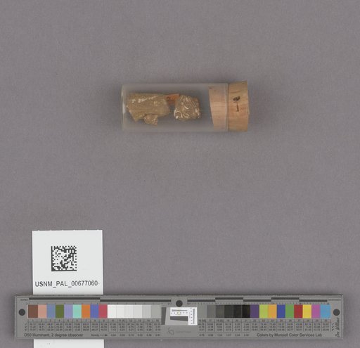 NSF ADBC EPICC TCN
