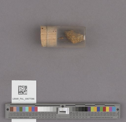 NSF ADBC EPICC TCN