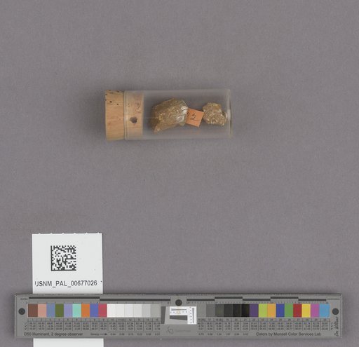 NSF ADBC EPICC TCN