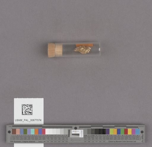 NSF ADBC EPICC TCN