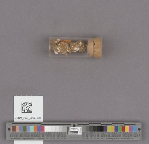 NSF ADBC EPICC TCN