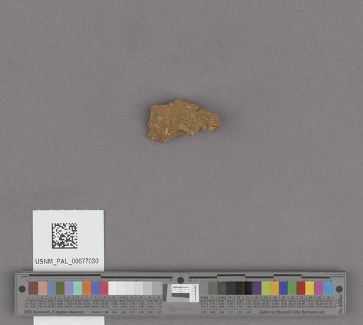 NSF ADBC EPICC TCN