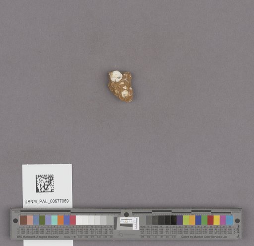 NSF ADBC EPICC TCN