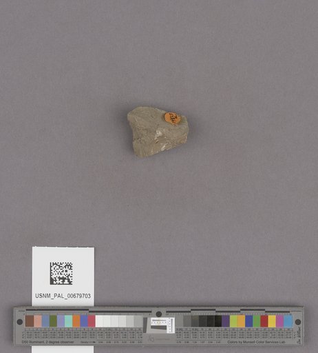 NSF ADBC EPICC TCN
