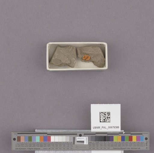 NSF ADBC EPICC TCN