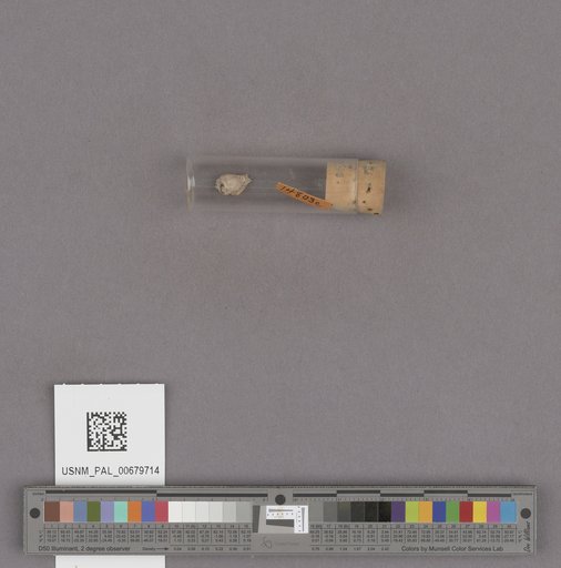 NSF ADBC EPICC TCN
