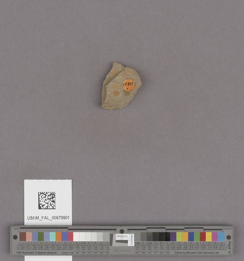 NSF ADBC EPICC TCN
