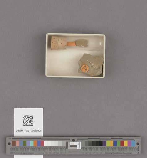 NSF ADBC EPICC TCN