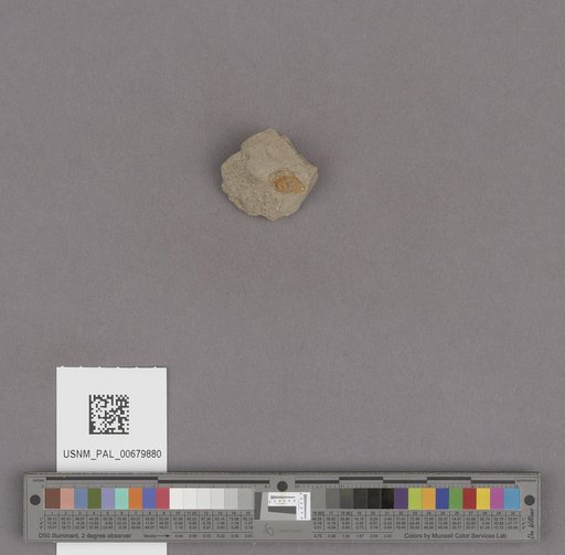 NSF ADBC EPICC TCN