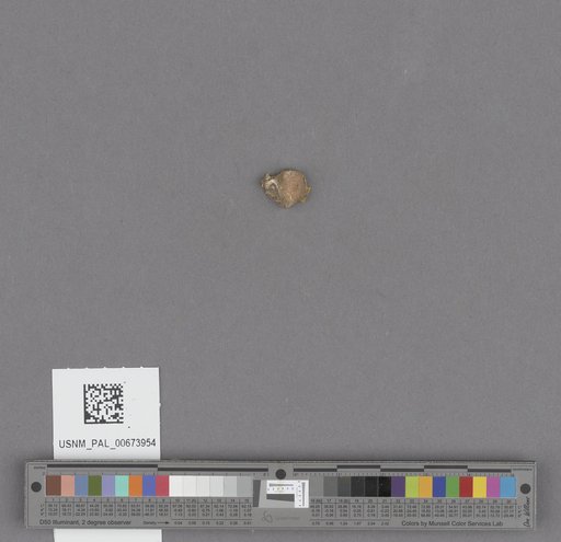 NSF ADBC EPICC TCN