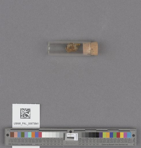 NSF ADBC EPICC TCN