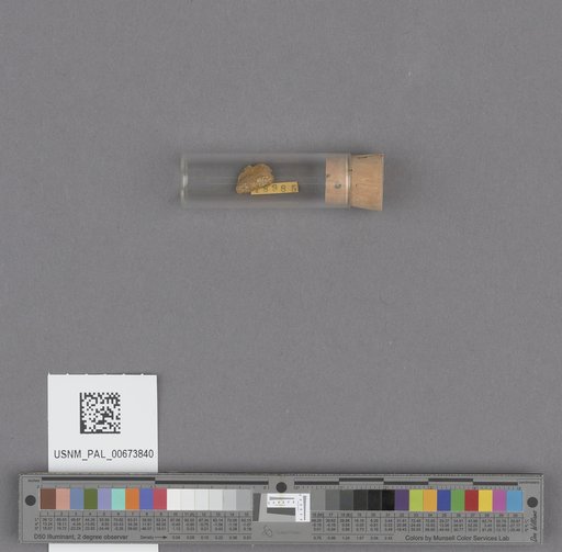 NSF ADBC EPICC TCN