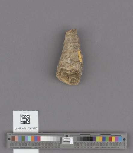 NSF ADBC EPICC TCN
