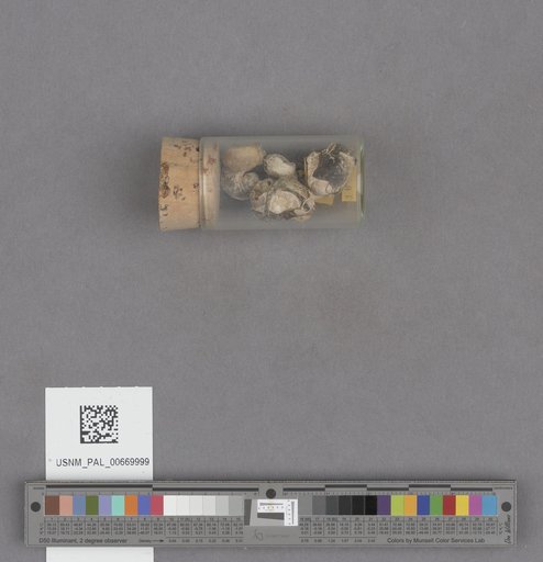 NSF ADBC EPICC TCN