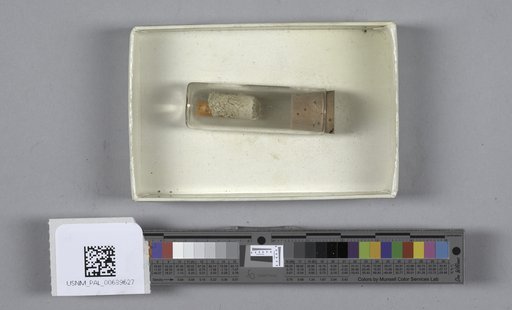 NSF ADBC EPICC TCN