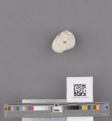 NSF ADBC EPICC TCN