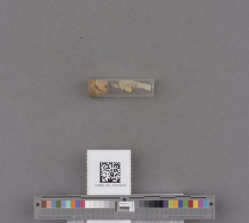 NSF ADBC EPICC TCN