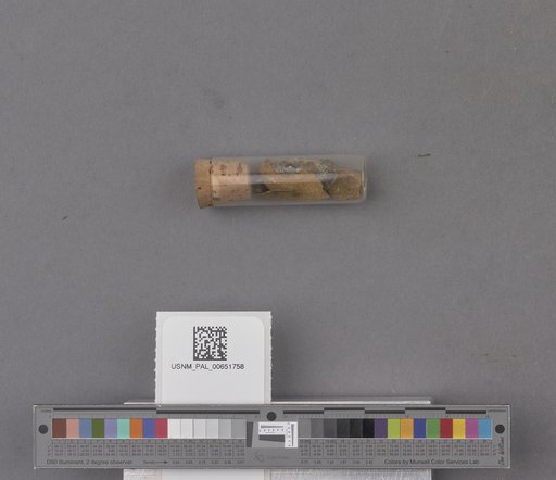 NSF ADBC EPICC TCN